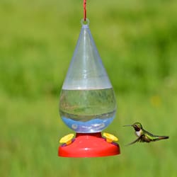 Perky-Pet Hummingbird 32 oz Plastic Nectar Feeder 3 ports