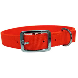 PDQ Neon Orange Nylon Dog Adjustable Collar Medium