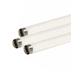 Satco 15 W T8 1 in. D X 17.78 in. L Fluorescent Bulb Daylight Linear 6500 K 1 pk