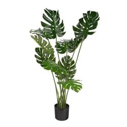 Naturae Decor 47 in. H Plastic Artificial Monstera Green