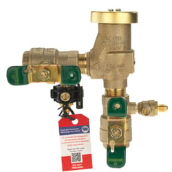 Febco 3/4 in. FPT in. X 3/4 in. FPT in. Bronze Vacuum Breaker