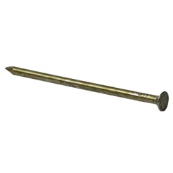 Grip-Rite 12D 3.125 in. Sinker Coated Steel Nail Flat Head 30 lb