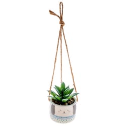 Karma 2 in. H X 2 in. W X 2 in. L Multicolored Ceramic Hanging Succulent Pot