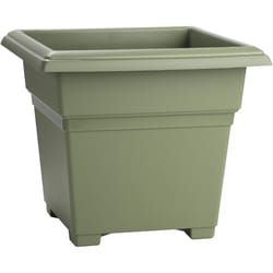 Novelty 13 in. H X 14 in. W X 14 in. D Plastic Countryside Tub Patio Planter Sage