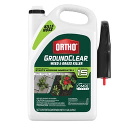 Ortho GroundClear Weed and Grass Killer RTU Liquid 1 gal