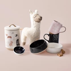Pet Shop by Fringe Studio Charcoal Treat Shapes Ceramic Medium Pet Bowl