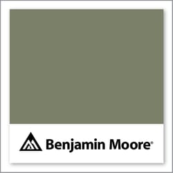Benjamin Moore Galapagos Green 475