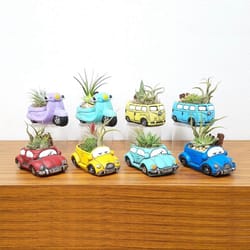 Eve's Garden Ceramic Caricature Vehicles Air Plant and Succulent Assorted