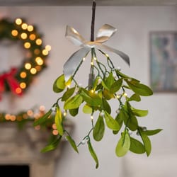 Gerson Mistletoe Branch with Warm White LED Lights Hanger 12 in.