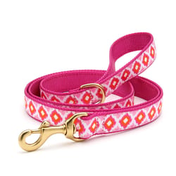 Up Country Pink Crush Nylon Dog Leash