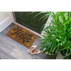 Entryways 30 in. W X 18 in. L Multicolored Hello Coir Door Mat