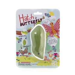 Scobie Boxer Gifts Hatch A Butterfly Impulse Toy 1 pk