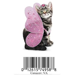 Avanti Press, Inc. Kitten Butterfly Greeting Cards Paper 1 pk