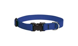 LupinePet Basic Solids Blue Blue Nylon Dog Adjustable Collar