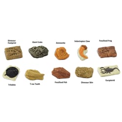 Safari Ltd. Toobs Ancient Fossils Toy 10 pc