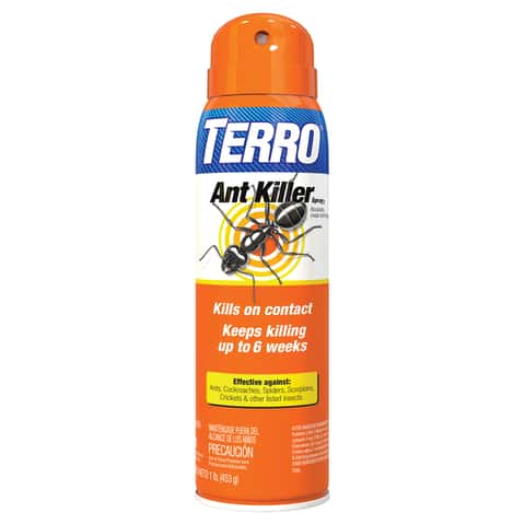 TERRO Ant Bait & Insect Control at Ace Hardware - Ace Hardware
