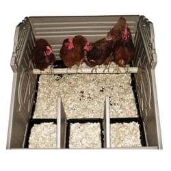 Snap Lock Plastic Chicken Coop