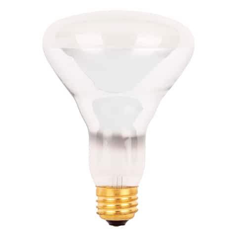 Ace hardware shop halogen bulbs