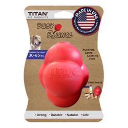 Titan Red Rubber Busy Bounce Dog Toy Large 1 pk