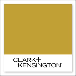 Clark+Kensington Magic Moss 22C-7