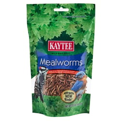 Kaytee Bluebird Dried Mealworm Mealworms 3.5 oz