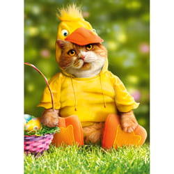 Avanti Seasonal Cat in Duck Costume Easter Card Paper 2 pc