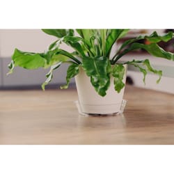 Curtis Wagner Plastics 9 in. W X 9 in. D X 9 in. D Vinyl Plant Saucer Clear