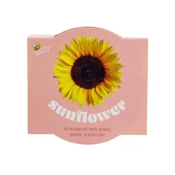 Buzzy Classic Terra Cotta Sunflower Grow Kit 1 pk