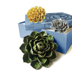 Chive Ceramic Flowers 2.9 in. H X 11 in. W X 13.3 in. L Glazed Assorted Ceramic Day Box Set