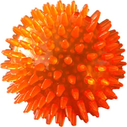 Petsport Assorted TPR Gorilla Spiky Ball Ball Dog Toy XL 1 pk