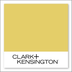 Clark+Kensington Ripe Guava 21C-5