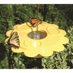 Birds Choice Butterfly 0.75 lb Polycarbonate Nectar Nectar Feeder 4 ports