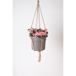 Primitive Planters Tan Macrame 30 in. H Plant Hanger 1 pk