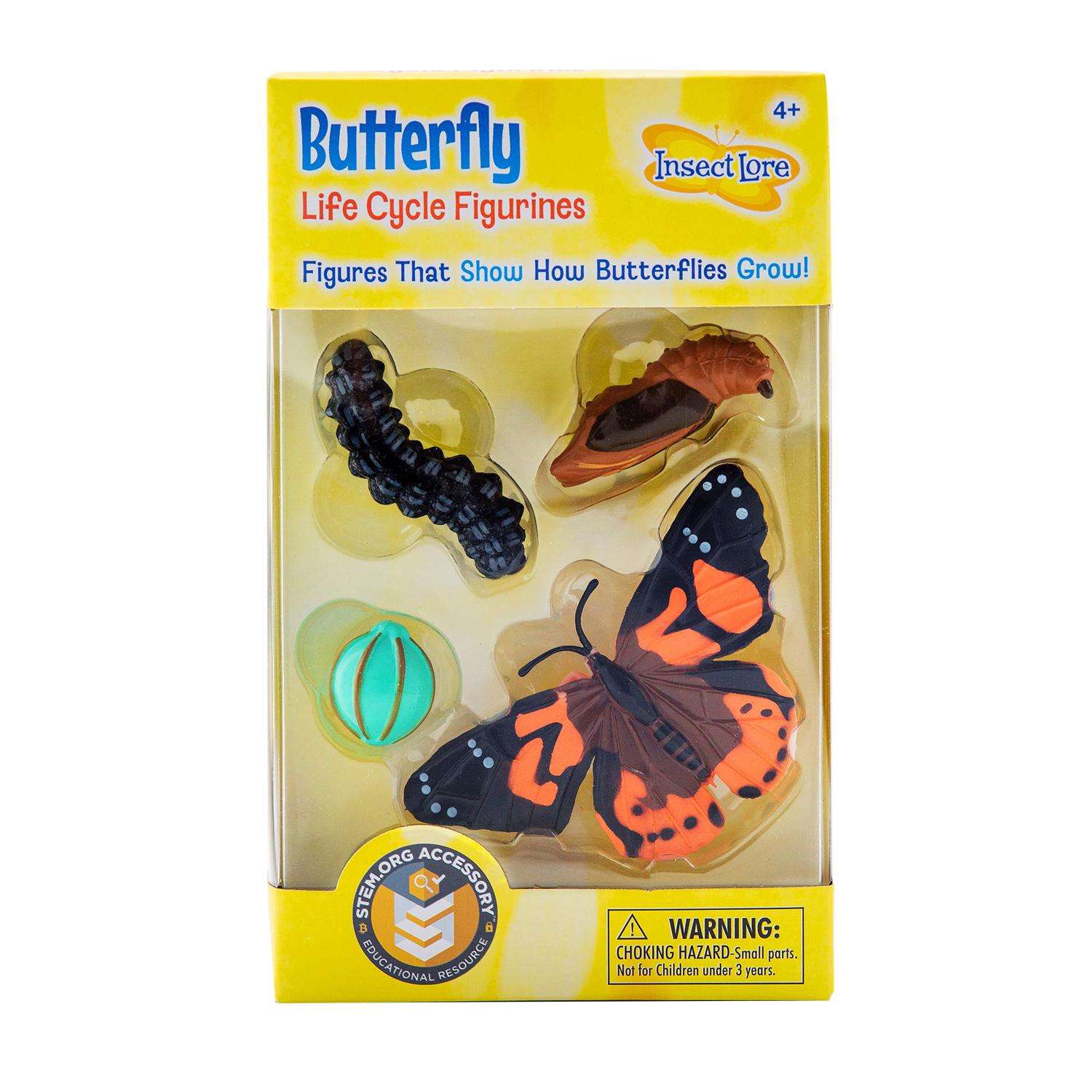 Insect Lore Butterfly Life Cycle Figurines Multicolored 4 pc Ace Hardware