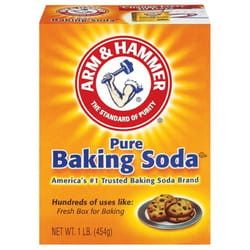 Arm & Hammer Baking Soda No Scent Cleaner and Deodorizer Powder 1 lb