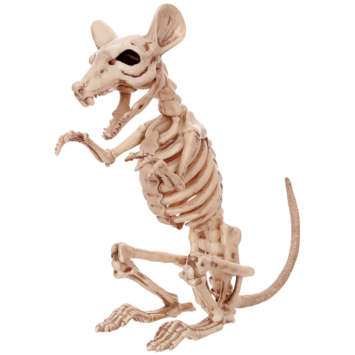 UPC 628481181454 product image for Skeleton Rat | upcitemdb.com