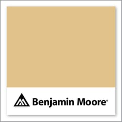 Benjamin Moore Dijon 193