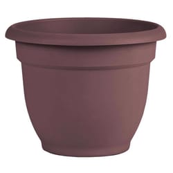 Bloem Ariana 13.75 in. H X 17.75 in. W X 16 in. D Resin Traditional Planter Merlot