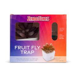 ZendoZones Fruit Fly Trap 1 box