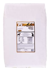 Beaverdam Elis Select All Ages Pork and Chicken Dry Dog Food Grain Free 40 lb
