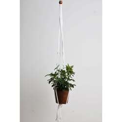 Primitive Planters White Macrame 36 in. H Plant Hanger 1 pk