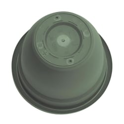 Bloem Ariana 8.5 in. H X 11 in. W X 10 in. D Plastic Traditional Planter Basil