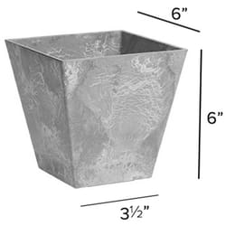 Novelty ArtStone 6 in. H X 5.9 in. W X 5.9 in. D Resin Ella Planter Gray