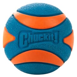 ChuckIt! Blue/Orange Round Synthetic Rubber Squeaker Ball Dog Toy Large 1 pk