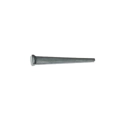 Grip-Rite 10D 3 in. Masonry Cut Steel Nail Flat Head 1 lb