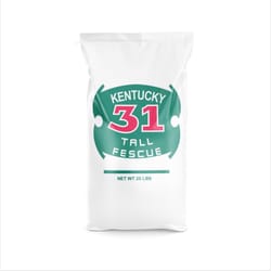 Barenbrug Kentucky 31 Tall Fescue Grass Sun or Shade Grass Seed 25 lb