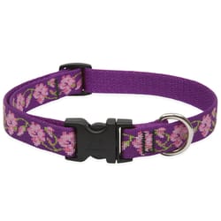 LupinePet Original Designs Multicolor Rose Garden Nylon Dog Adjustable Collar