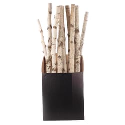 Second Nature Natural Birch Branches 32 in.