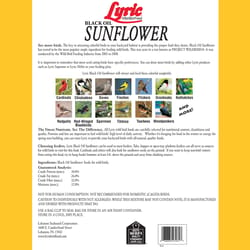 Lyric Assorted Species Black Oil Sunflower Seed Wild Bird Food 25 lb