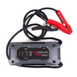 Ace hardware deals car battery charger